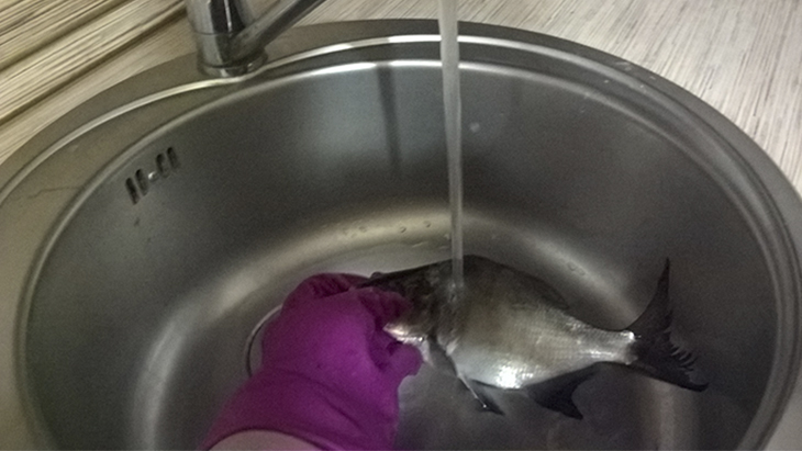 Как легко почистить рыбу от чешуи